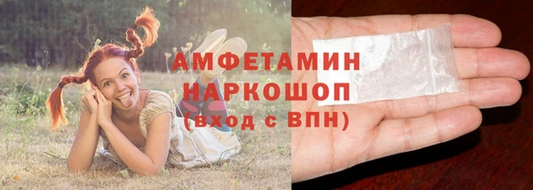 ГАЛЛЮЦИНОГЕННЫЕ ГРИБЫ Абаза