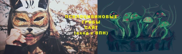 ГАЛЛЮЦИНОГЕННЫЕ ГРИБЫ Абаза