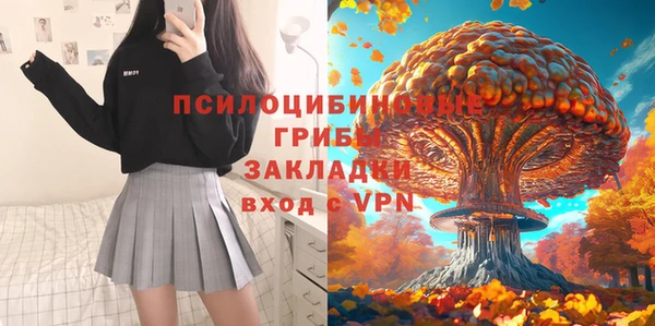 ECSTASY Алзамай